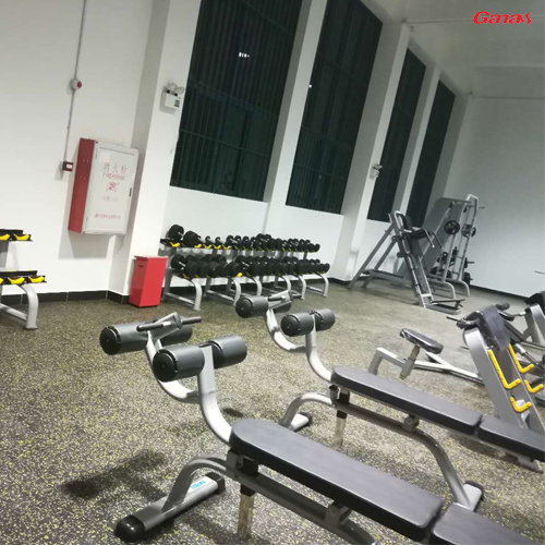 中山市实验中学健身房案例 采购学校健身器械就找广州香蕉视频在线观看免费