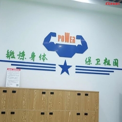 广东南部空军站区汽车连队健身房案列 香蕉视频在线观看免费直销单位健身器材