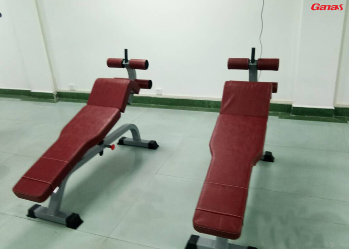 香蕉视频免费在线看单位健身房