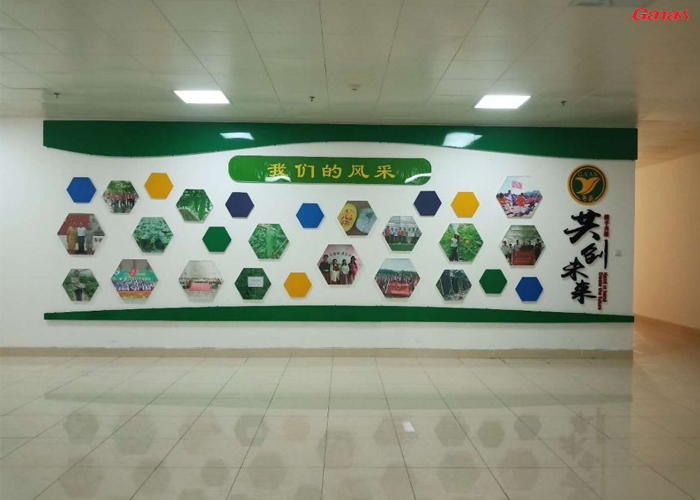 广东省农业科学院蔬菜研究所健身房